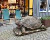 Stavanger Turtle